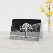 踊りゼブラ誕生日カード カード (黄色い花)