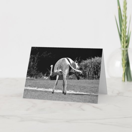 踊りゼブラ誕生日カード カード (正面)
