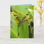 踊りトンフライ誕生日 カード (黄色い花)