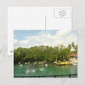 踊りドルフィンズインマイアミ ポストカード (正面/裏面)