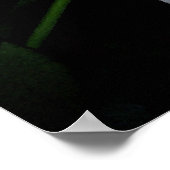 踊りバラ16x12 ポスター (角)