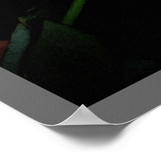 踊りバラ ポスター (角)