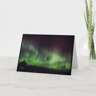 踊りライトOver Quiet Treesカー空白のド サンキューカード