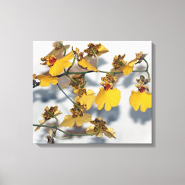 踊りレディーイエローオンシジウムラン キャンバスプリント