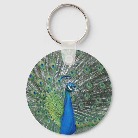 踊り孔雀 キーホルダー (正面)
