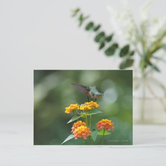 踊り宝石 ポストカード (スタンド正面)