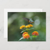 踊り宝石 ポストカード (正面/裏面)