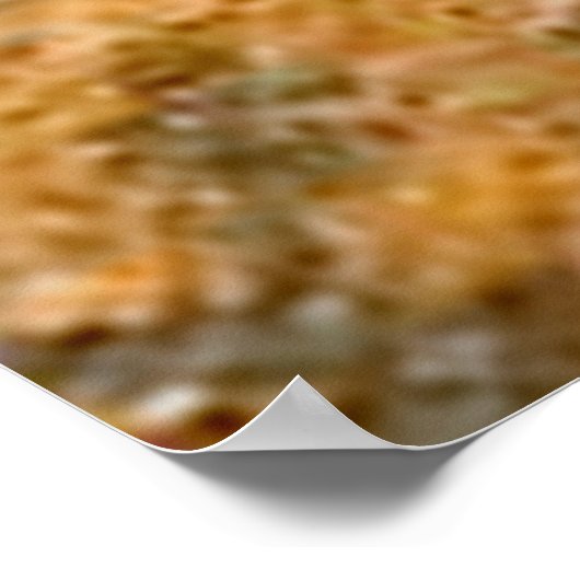 踊り対 ポスター (角)