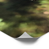 踊り毛虫 ポスター (角)