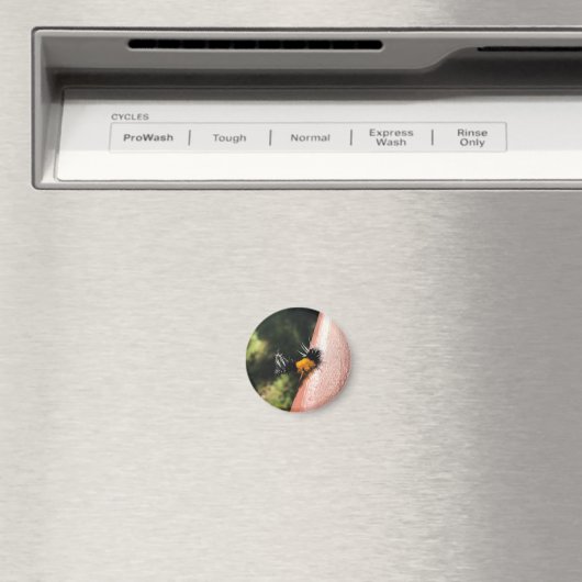 踊り毛虫 マグネット (インサイチュ (食洗機))