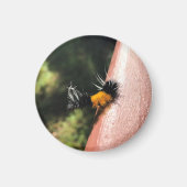 踊り毛虫 マグネット (正面)