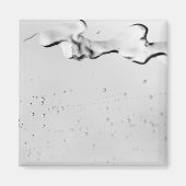 踊り水 マグネット (正面)