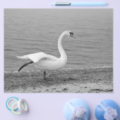 踊り白鳥 チラシ (シングル)