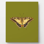 踊り蝶 フォトプラーク (正面)