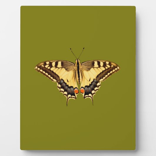 踊り蝶 フォトプラーク (正面)