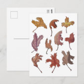 踊り離れ葉書 ポストカード (正面/裏面)