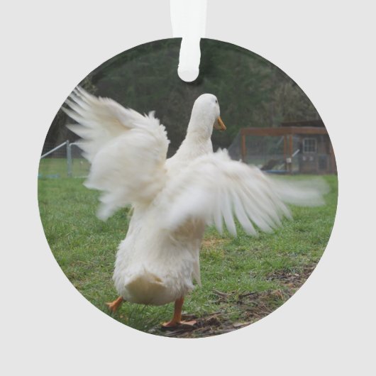 踊り オーナメント (裏面)