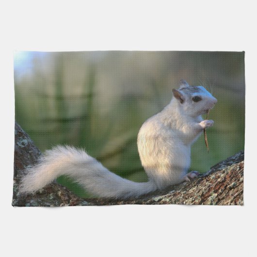 踊る時間! キッチンタオル (横)