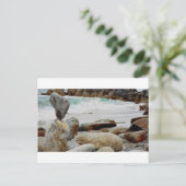 踊る沿岸石 ポストカード (スタンド正面)