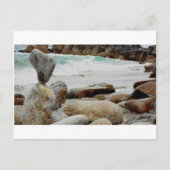 踊る沿岸石 ポストカード (正面)
