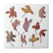 踊る葉 タイル (正面)