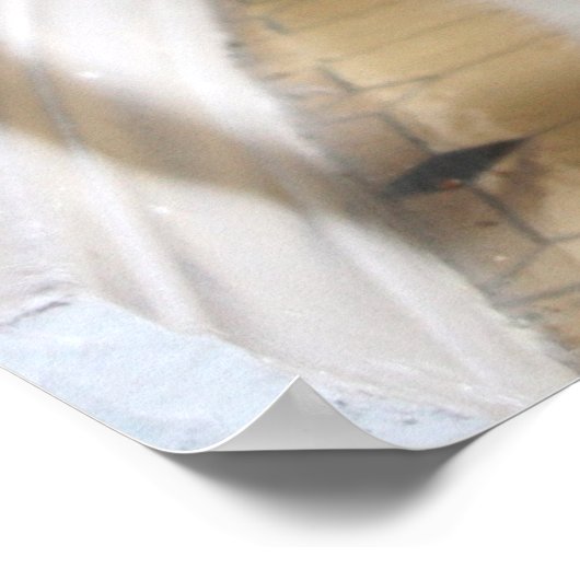 踊れ! ポスター (角)