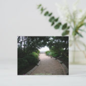 踏みならされた道を離れて ポストカード (スタンド正面)