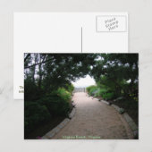 踏みならされた道を離れて ポストカード (正面/裏面)