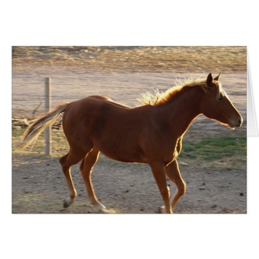 踏み付ける (正面横)