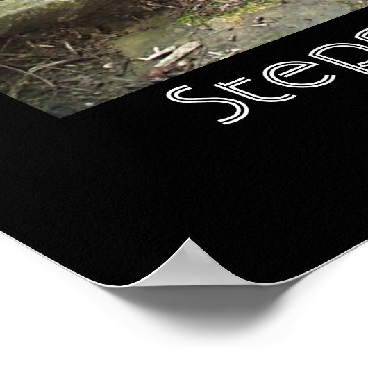 踏み石 ポスター (角)