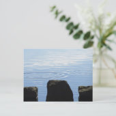 踏み石 ポストカード (スタンド正面)