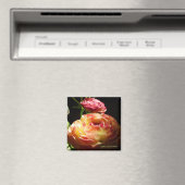 踏み石 マグネット (インサイチュ (食洗機))