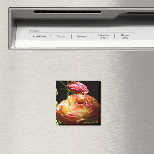 踏み石 マグネット (インサイチュ (食洗機))