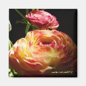 踏み石 マグネット (正面)