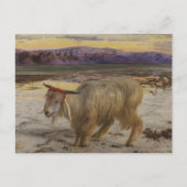 身代わりヤギ ポストカード (正面)