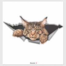 車おもしろいのシール、車のシールとデカール