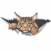 車おもしろいのシール、車のシールとデカール シール (正面)