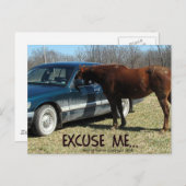 車おもしろい付き馬 ポストカード (正面/裏面)