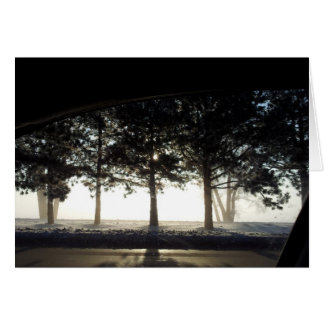 車からの冬の木