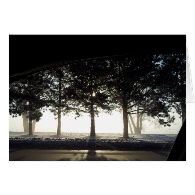 車からの冬の木 (正面横)