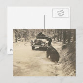 車でクマをする ポストカード (正面/裏面)