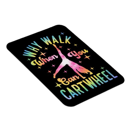 車で走れるときに歩く理由 マグネット (右側)