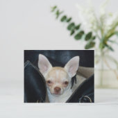 車に乗りに行く ポストカード (スタンド正面)