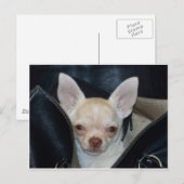 車に乗りに行く ポストカード (正面/裏面)