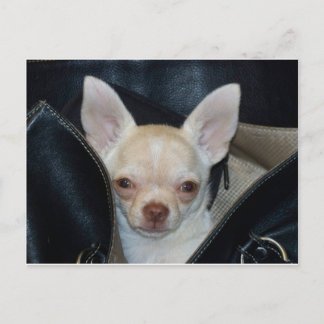 車に乗りに行く ポストカード