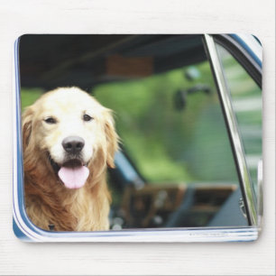車に坐っている飼い犬 マウスパッド