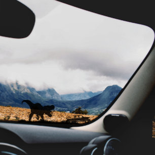 車のクールトラック窓のTレックス恐竜 シール