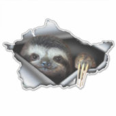 車のステッカーKoala車のデカール動物のステッカーKoala シール (正面)