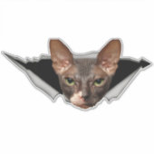 車のステッカーSphynx catステッカーSphynxデカール シール (正面)