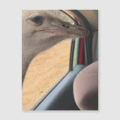 車のダチョウ磁石 (正面)